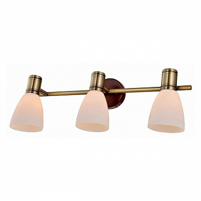 фото Спот toplight sharyl tl3720y-03bb
