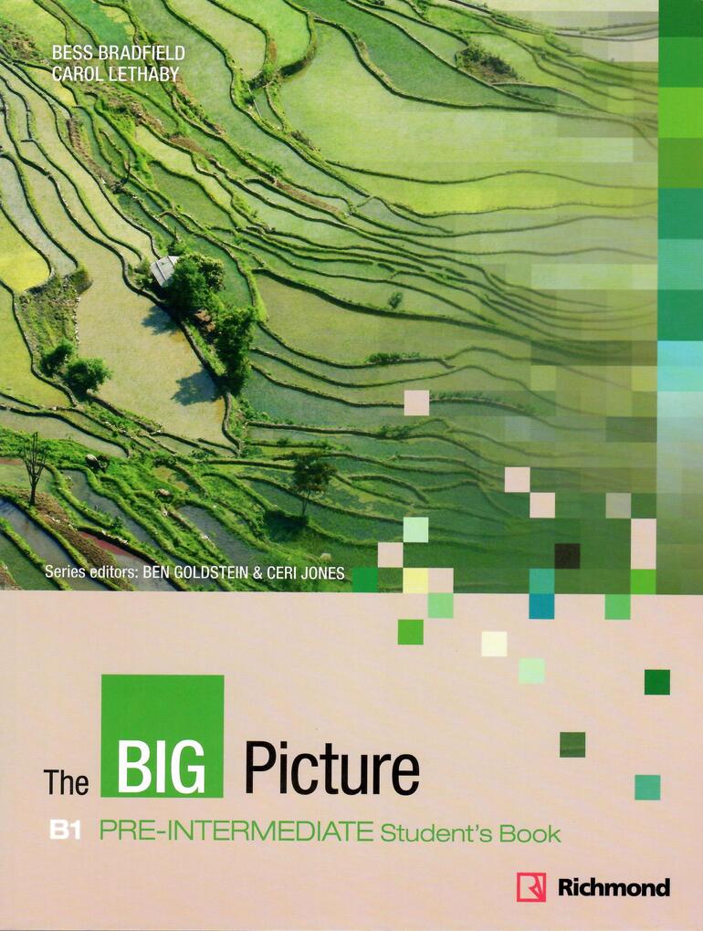 

The Big Picture Pre-Int SB