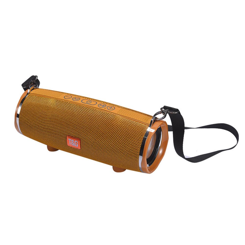 

Портативная колонка T&G TG189 Gold, TG189