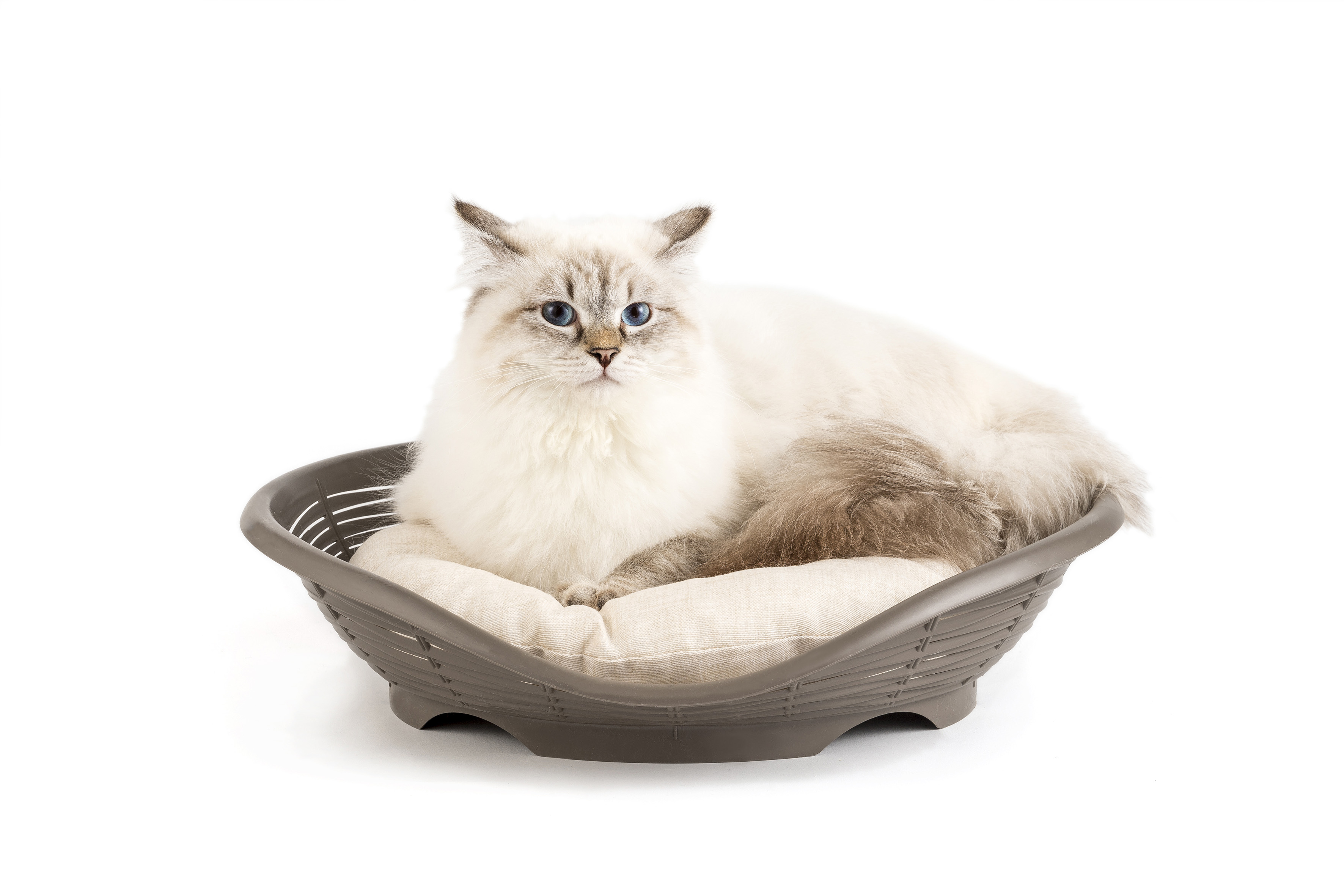фото Лежанка для кошки, собаки bama pet пластик с подушкой 46x48x11см коричневый