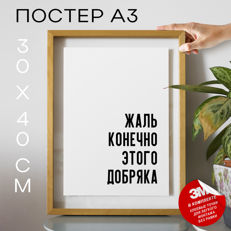

Постер с надписью Мемы Жаль конечно этого добряка PS578 30х40, рамка А3, PS578