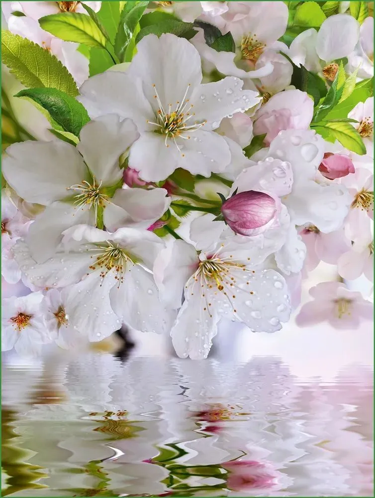 Фотообои бумажные Яблоневый цвет 196*260