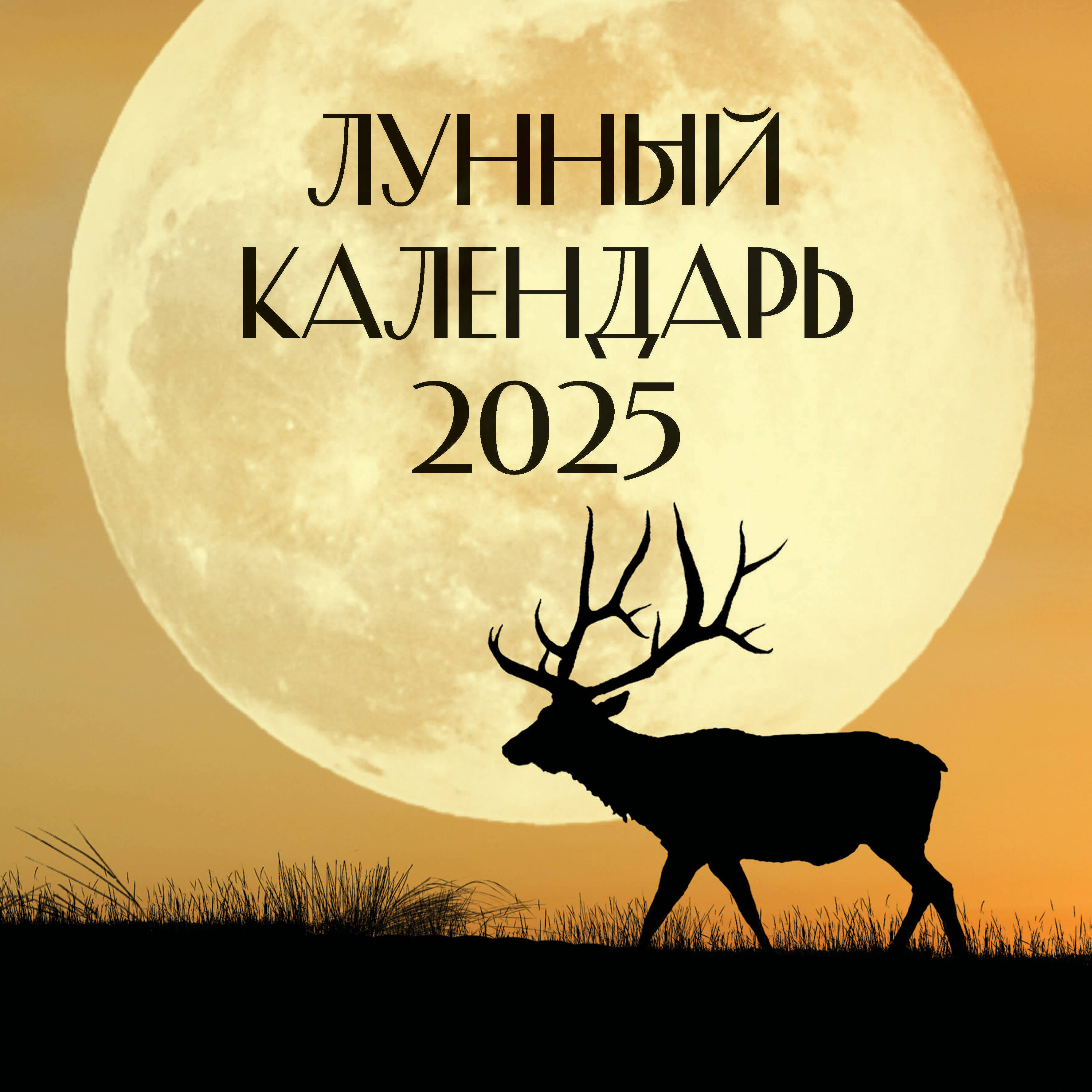 

Календарь АСТ Лунный на 2025 год