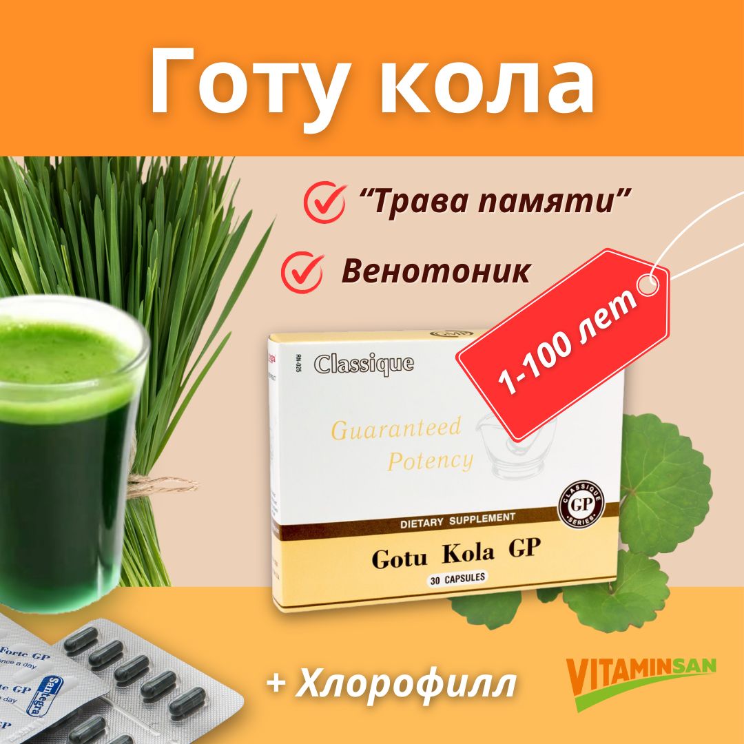 Готу Кола Santegra Gotu Kola GP 30 капсул