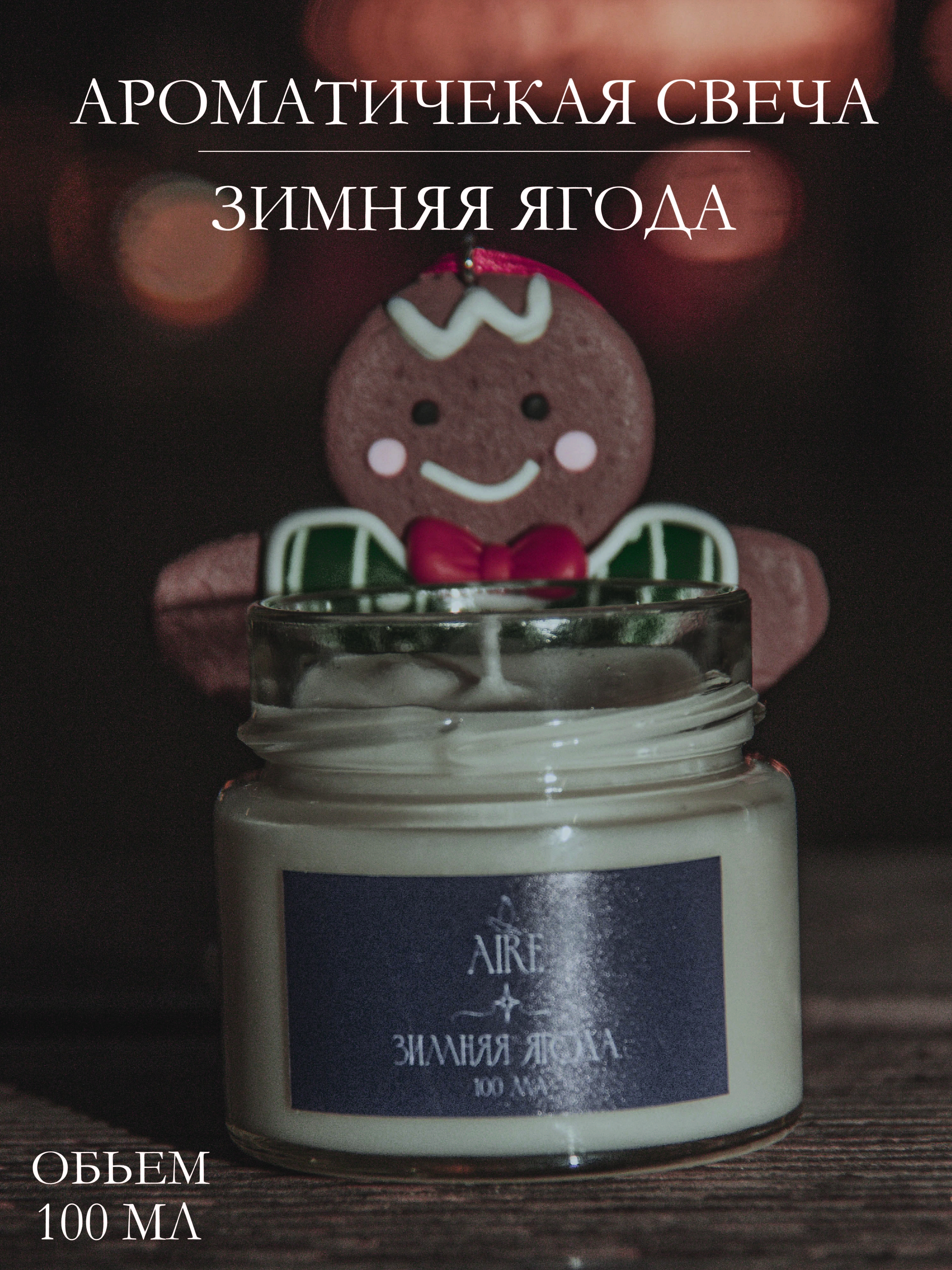 

Свеча ароматическая Aire Зимняя ягода 100 мл