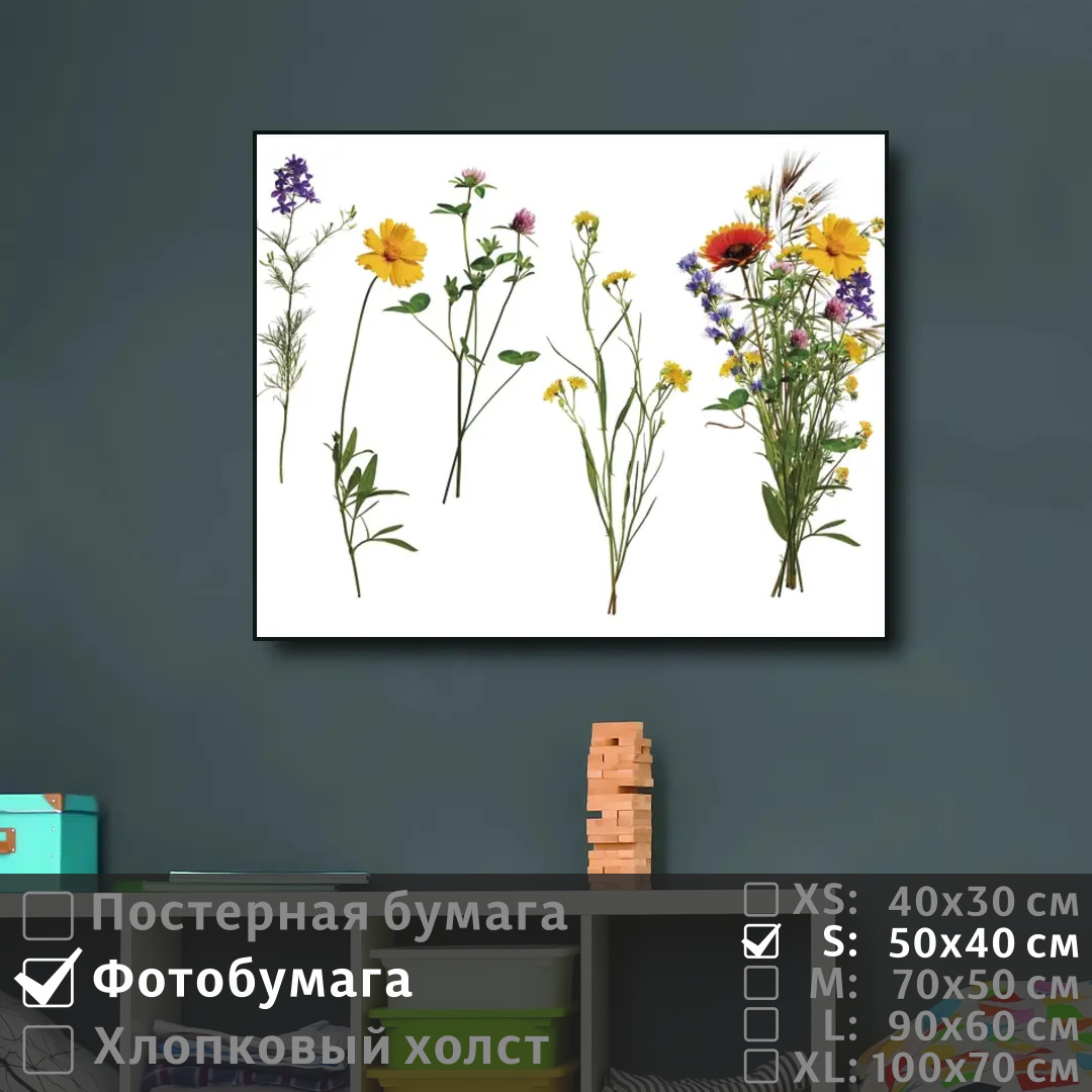 

Постер на фотобумаге ПолиЦентр Коллаж из полевых цветов 50х40 см, КоллажИзПолевыхЦветов