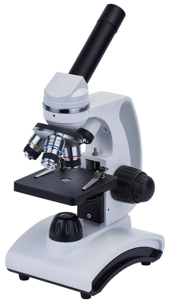 Микроскоп Levenhuk Discovery Femto Polar с книгой микроскоп цифровой levenhuk d95l lcd монокулярный
