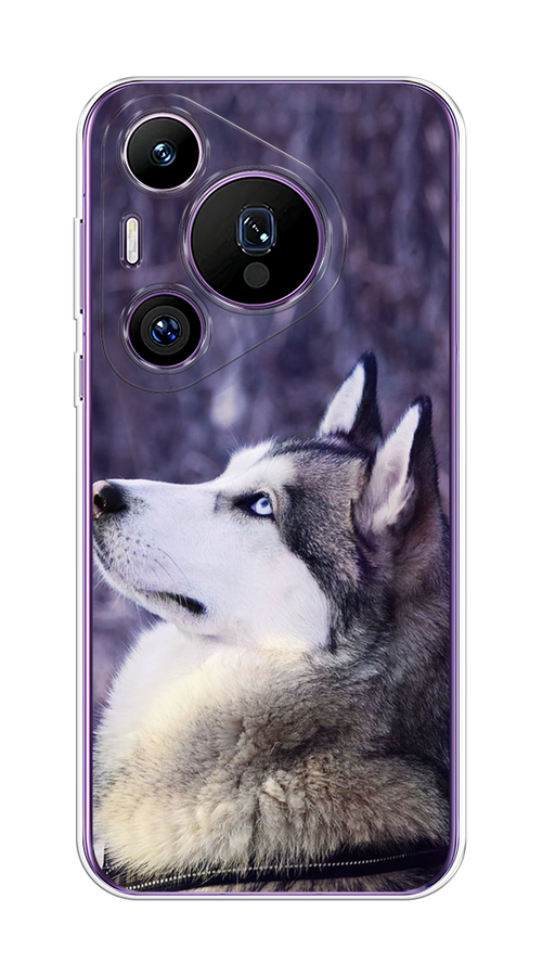 

Чехол на Huawei Pura 70 Pro/70 Pro Plus "Хаски 1", Фиолетовый;белый, 6124150-1