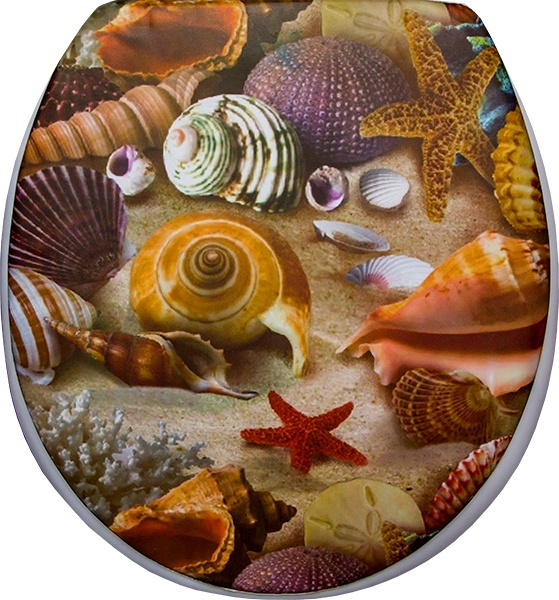 

Сантис мягкое, (Ракушки)