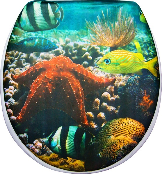 

Сантис мягкое, (Кораллы)