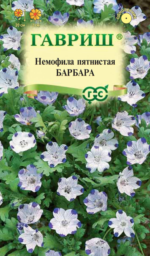 

Семена немофила Барбара Гавриш 003781-10 1 уп.