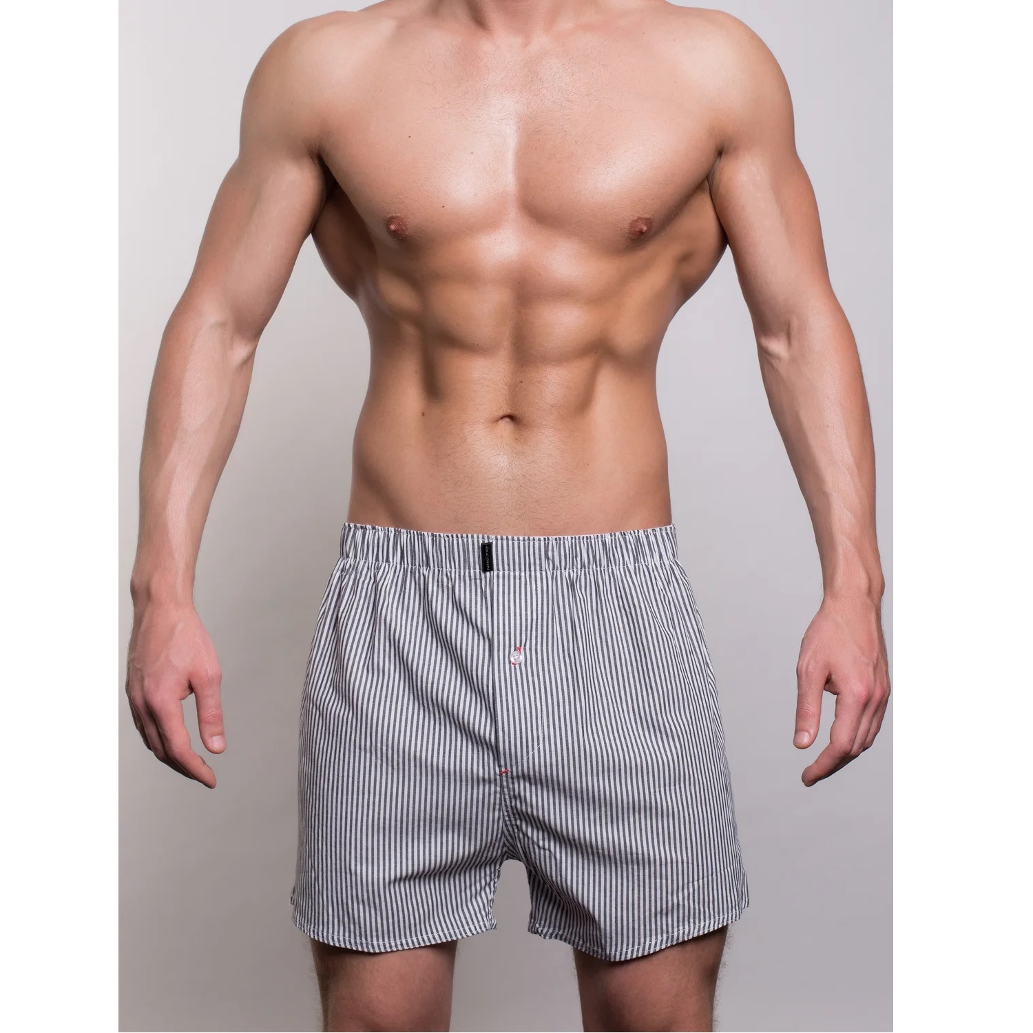 Трусы мужские Sergio Dallini SG3310 серые XXXL