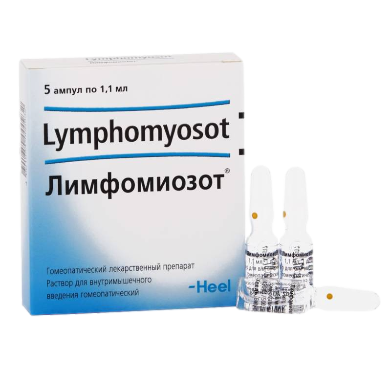 Лимфомиозот раствор для внутримышечного введения гомеопатический ампулы 5 шт.
