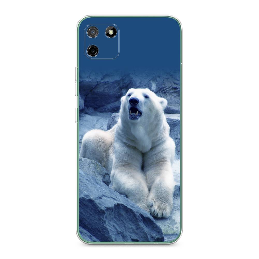 

Чехол на Realme C11 2020 "Белый медведь", Голубой;белый, 253850-1