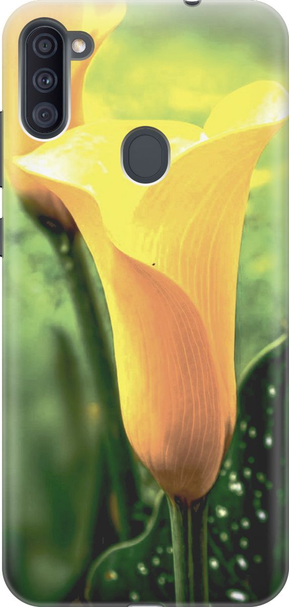 

Силиконовый чехол на Samsung Galaxy A11/M11 с принтом "Желтые каллы", Желтый;зеленый, 2841