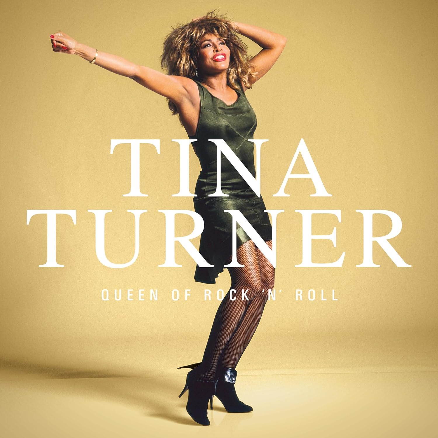 

Tina Turner Queen Of Rock N Roll (3CD)