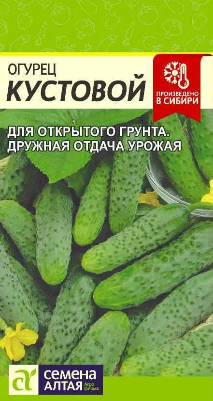 

Семена огурец Кустовой Семена Алтая