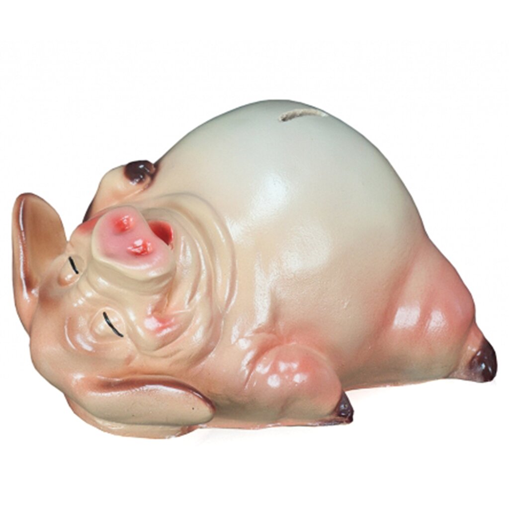 

Копилка Хрюшка на спине, 300