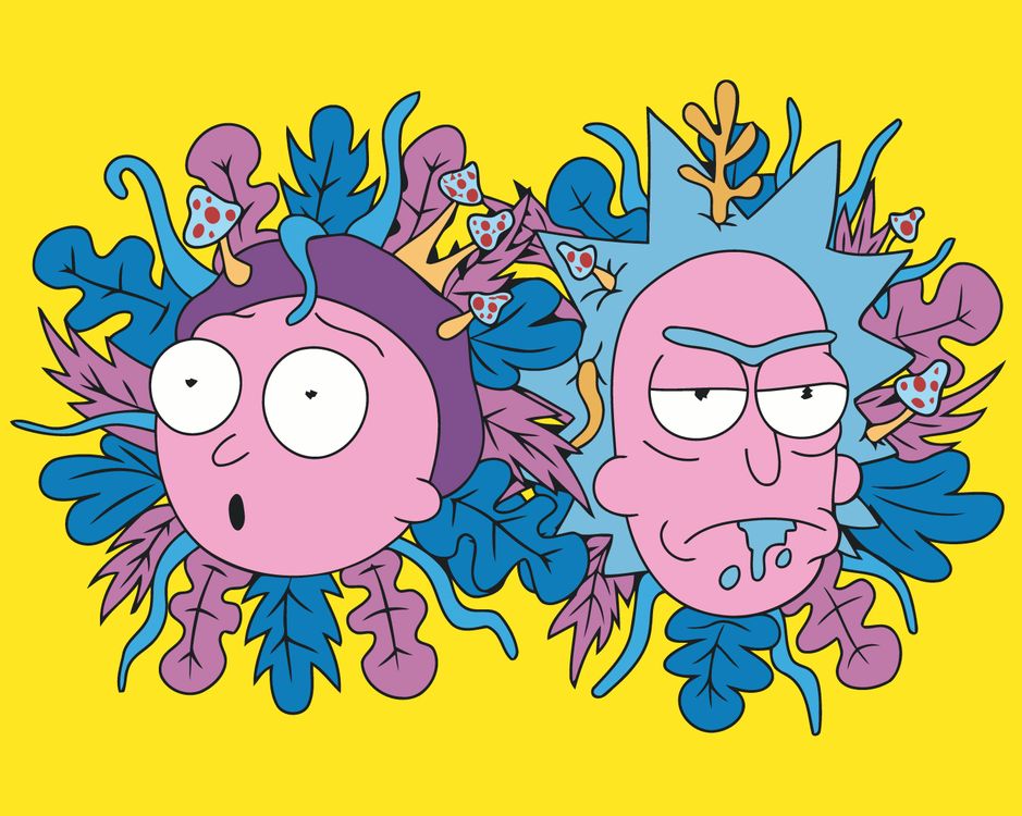 

Картина по номерам «Рик и Морти: Психоделия», rickmorty-004, Рик и Морти: Психоделия