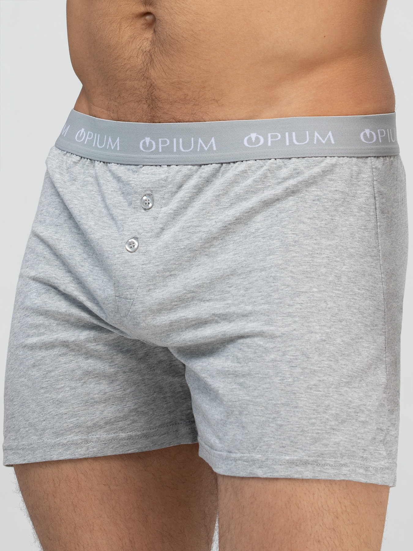 

Трусы мужские Opium R31 серые 4XL, Серый, R31