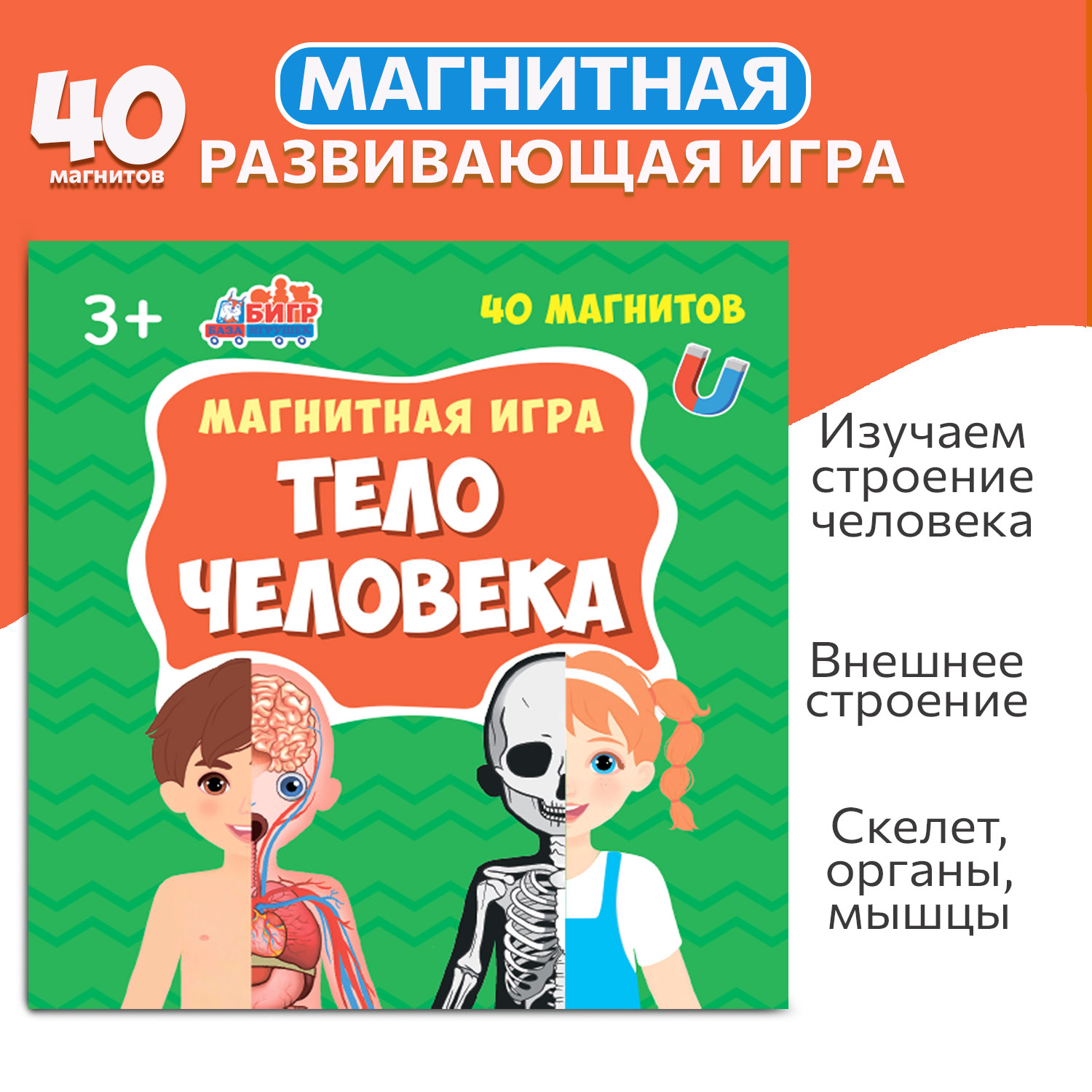 Развивающая настольная магнитная игра в дорогу Бигр Тело человека УД95