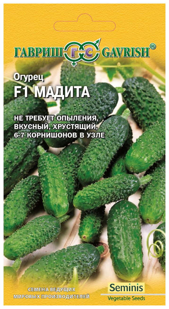 

Огурец F1 Мадита
