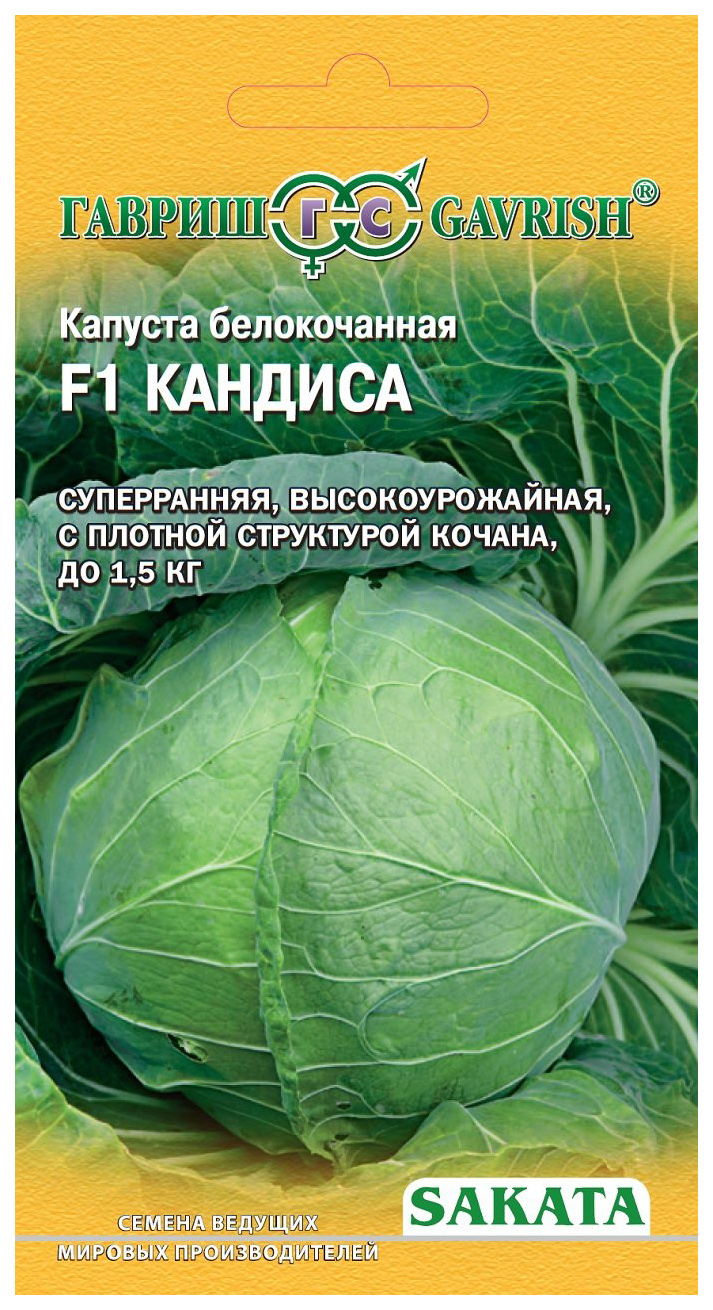 

Капуста б/к F1 Кандиса ранняя
