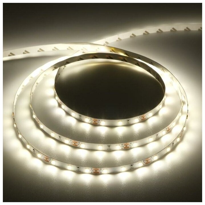 фото Лента светодиодная ecola led strip pro 11w 60led/m 4200k 20lm/led 1200lm/m 5м., p2lv11esb