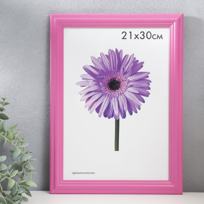 

Фоторамка дерево Linda 21х30 см малиновая (пластиковый экран)