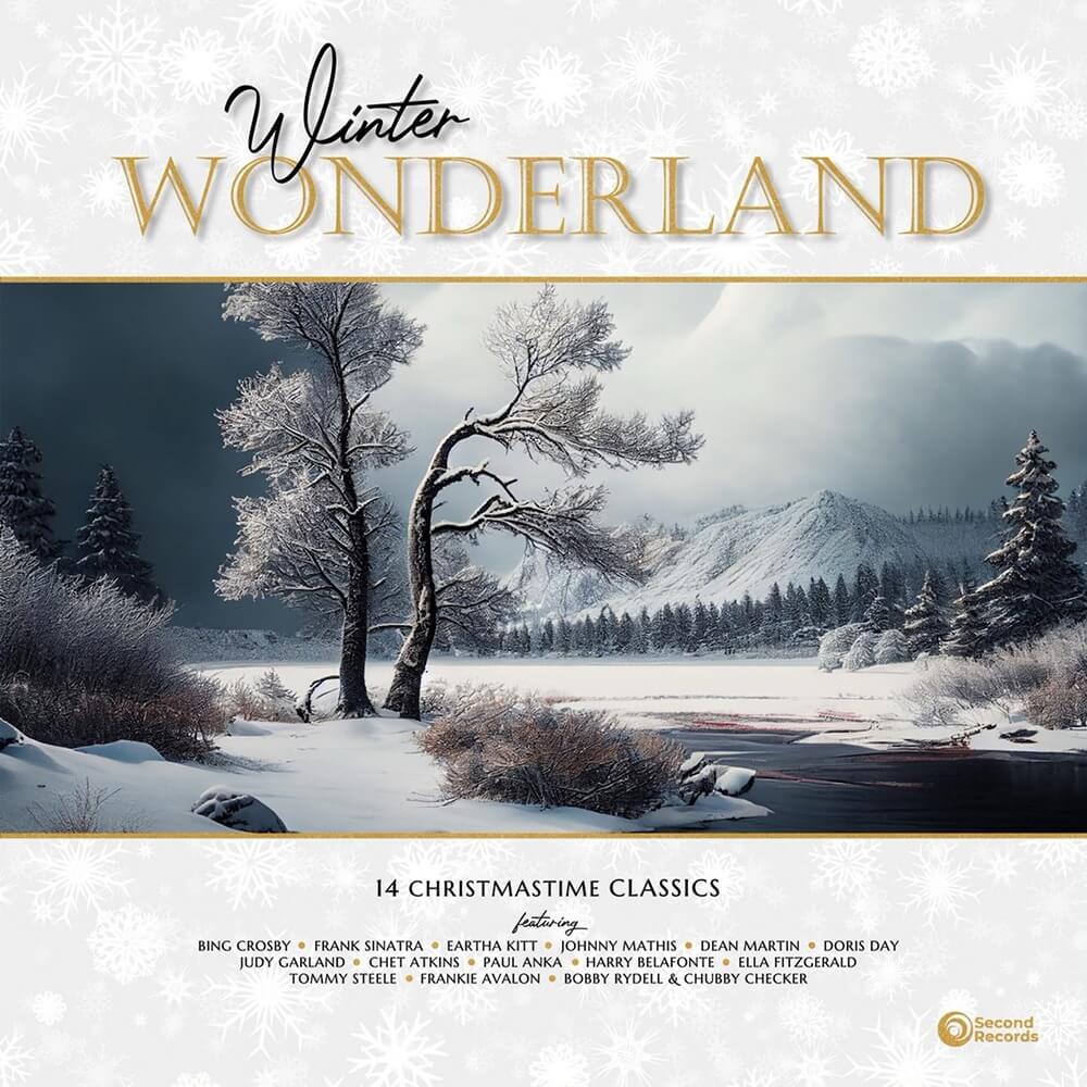 Various Winter Wonderland: 14 Christmastime Classics (Red Marble Vinyl) (LP)