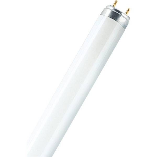 Люминесцентная лампа Osram L 18W865 25x1 4058075693098 389₽