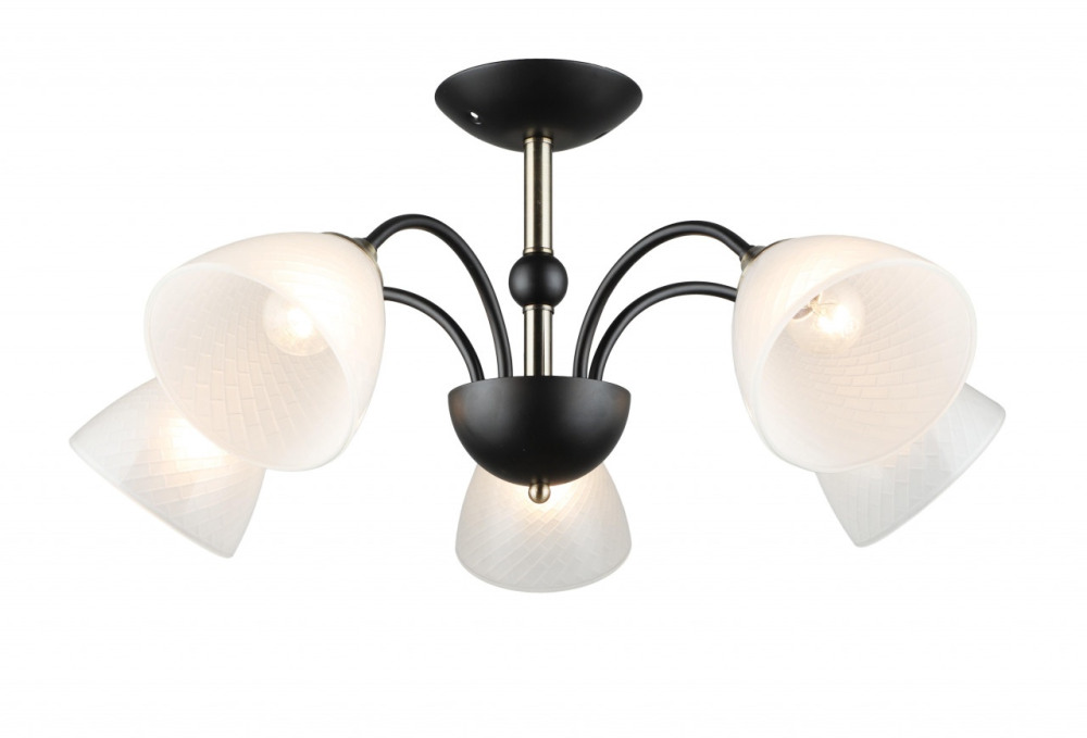 

Потолочная люстра Imex MD.4188-5-S-BK+AB, Imex MD.4188-5-S-BK+AB