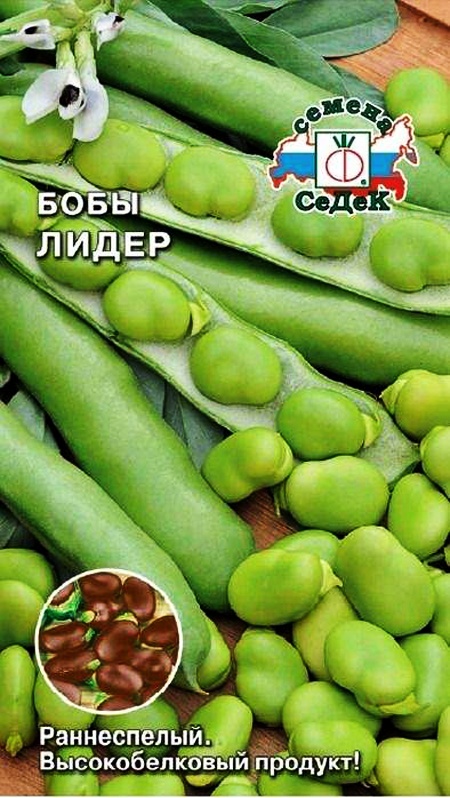 

Семена бобы СеДеК Лидер 15525 1 уп.