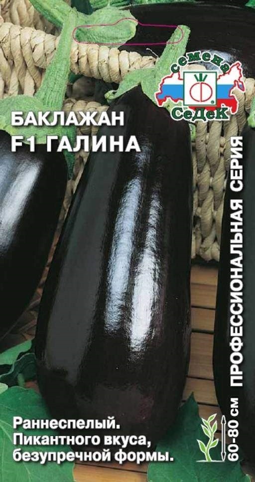 

Семена баклажан СеДеК Галина F1 13775 1 уп.