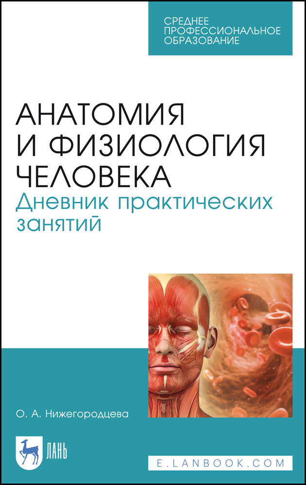 

Анатомия и физиология человека Дневник практических занятий