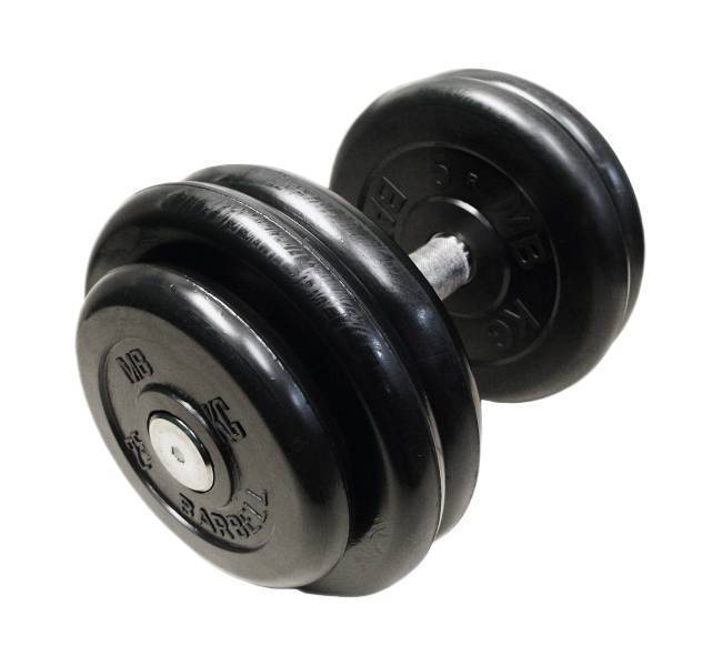 

MB Barbell "Профи" с вращающейся ручкой хром 38.5 кг, 'Профи' с вращающейся ручкой хром 38.5 кг
