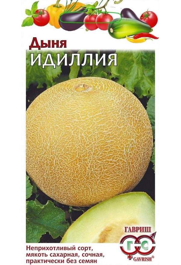 

Дыня Идиллия
