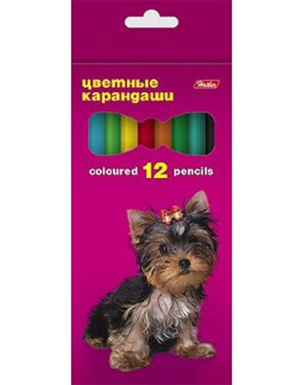 

Карандаши цветные "Hatber. Любимцы", 12 цветов, Голубой;желтый;зеленый;красный;оранжевый;синий;фиолетовый;черный