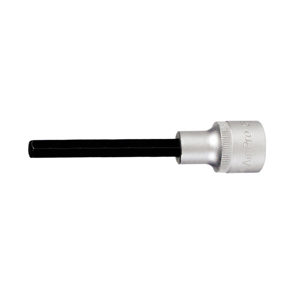 

AmPro Головка с шестигранной вставкой с отверстием 1/2", 6 мм T33166