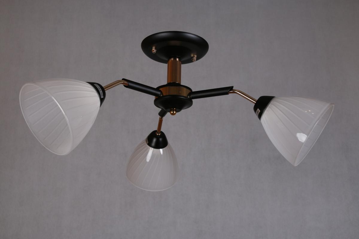 

Люстра потолочная Nina Lighting 8014/3 - SL BK+FG (6)