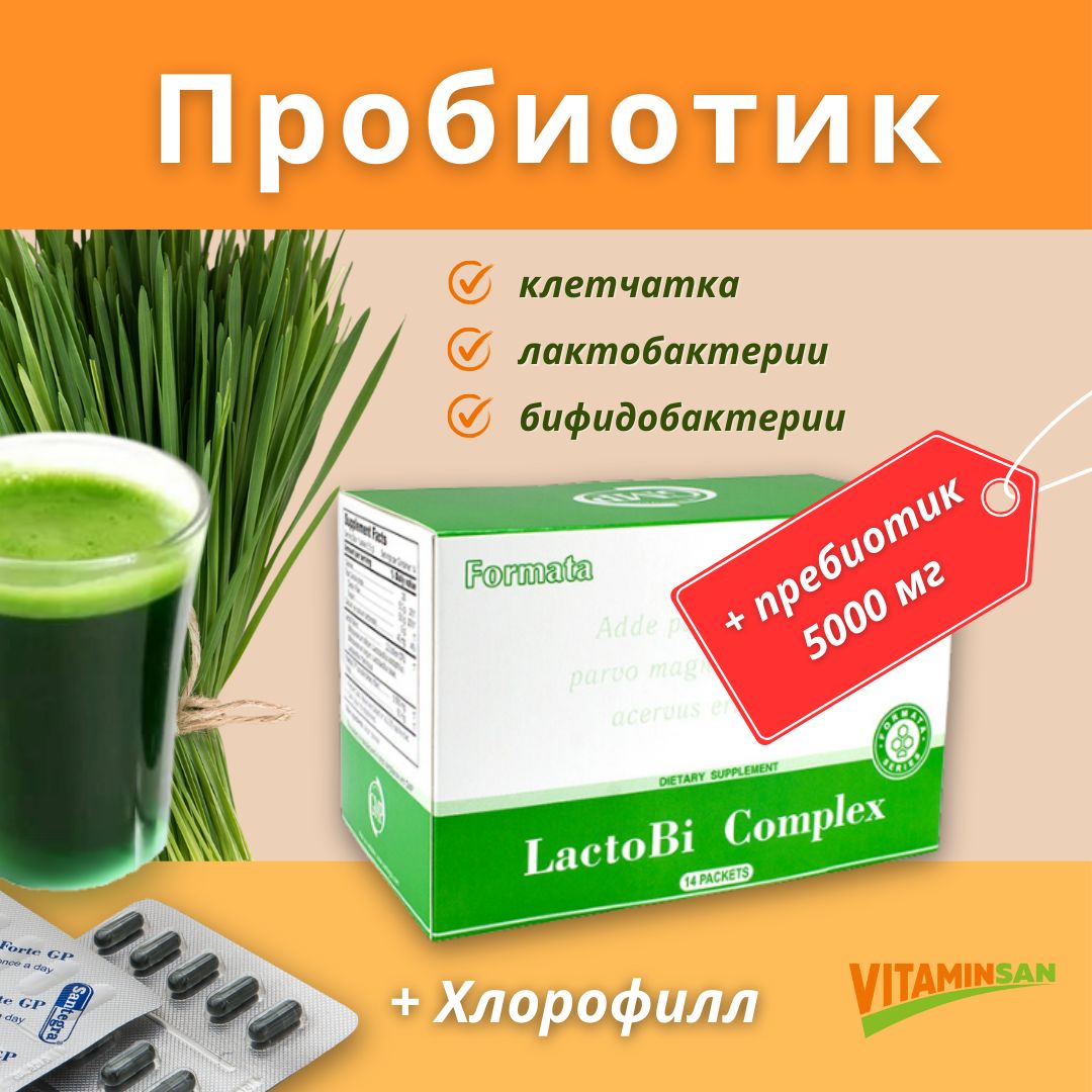 

Пробиотик с клетчаткой Santegra LactoBi Complex 14 пакетиков