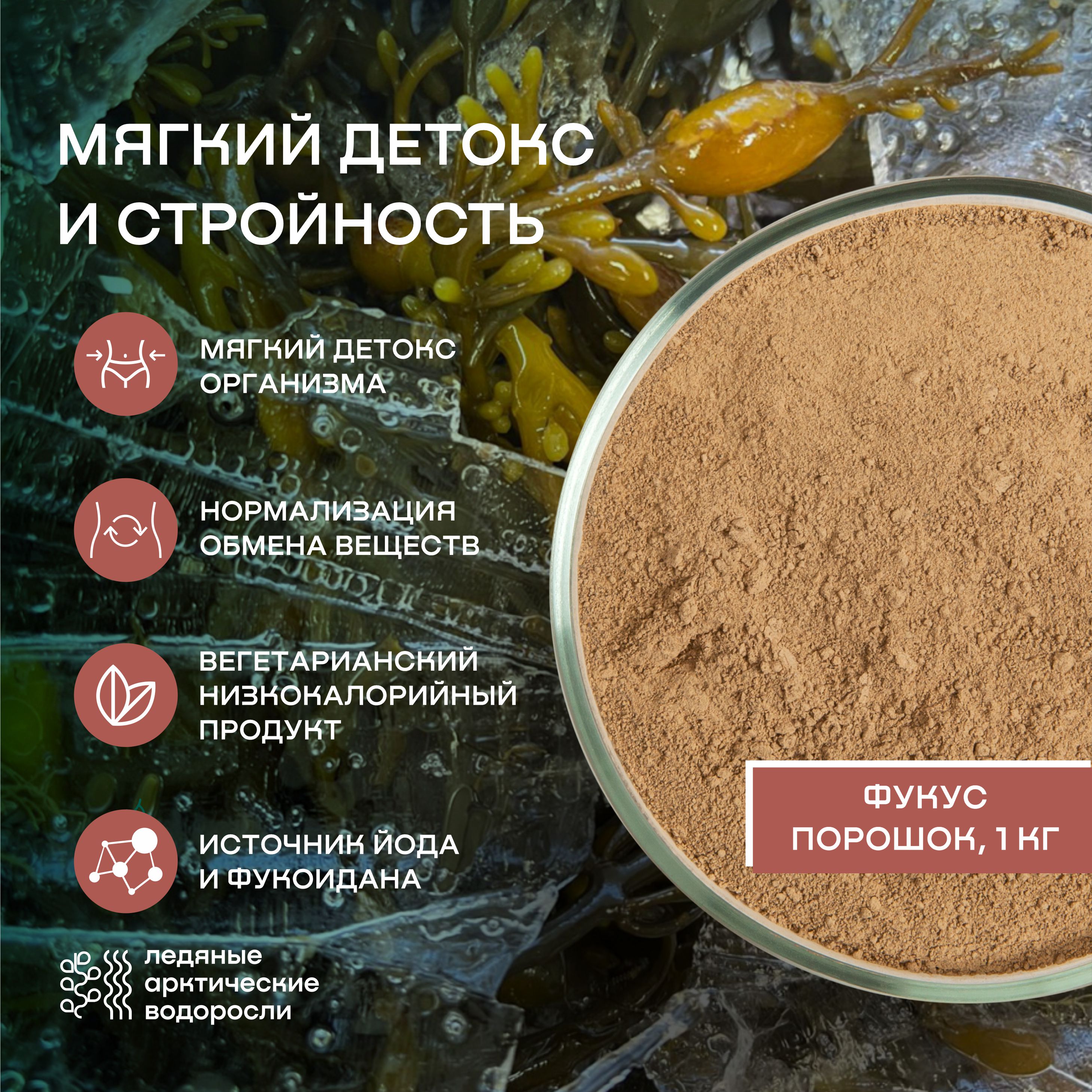 Водоросли беломорские  пищевые фукус порошок - 1 кг
