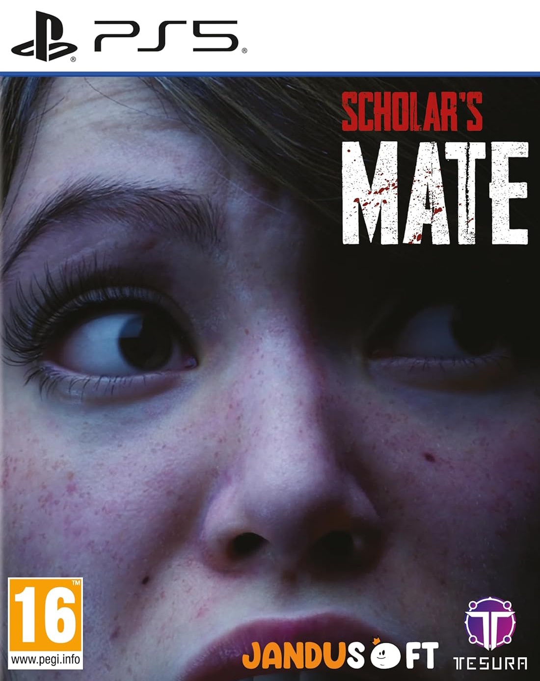 Игра Scholar's Mate (PlayStation 5, русские субтитры)