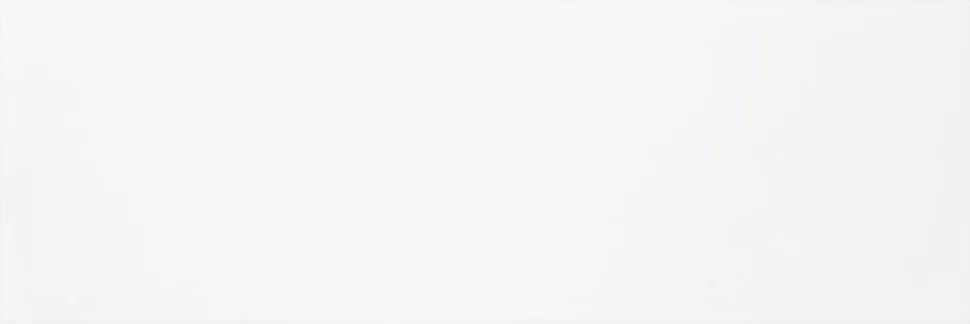 

Плитка Snow Glossy 25x75