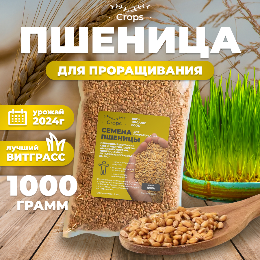 Семена пшеницы CROPS Семена для проращивания, микрозелень, витграсс, 1 кг