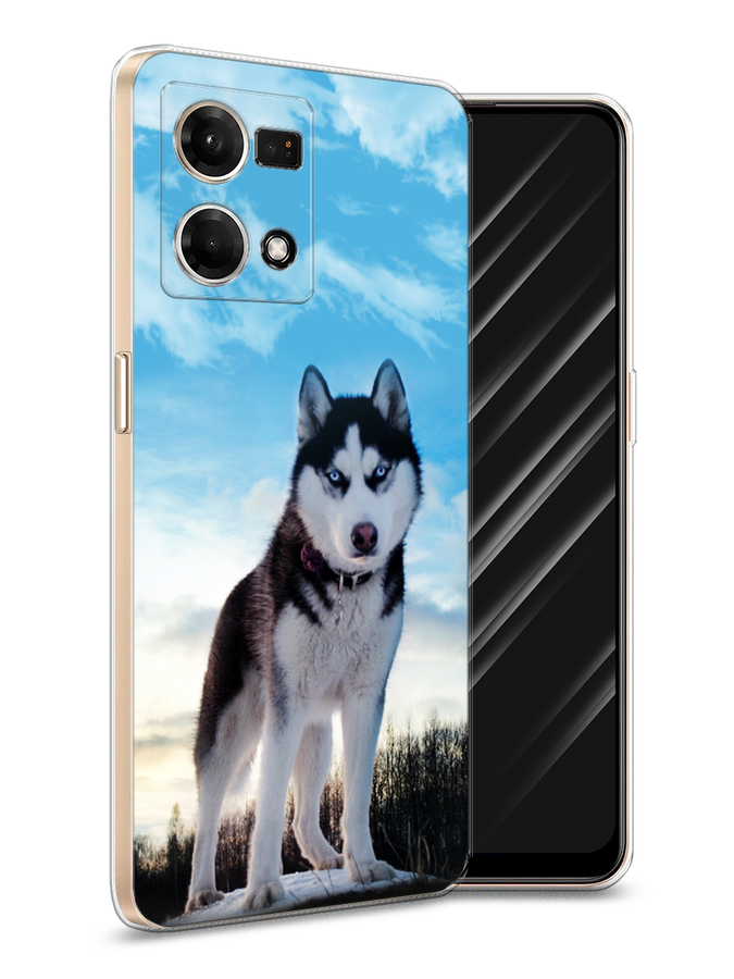 

Чехол Awog на Oppo Reno 8 4G "Хаски 3", Белый;черный;голубой, 2511450-2