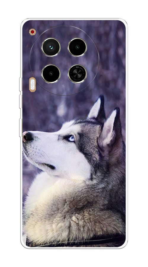 

Чехол на Tecno Camon 30 4G "Хаски 1", Фиолетовый;белый, 305650-1