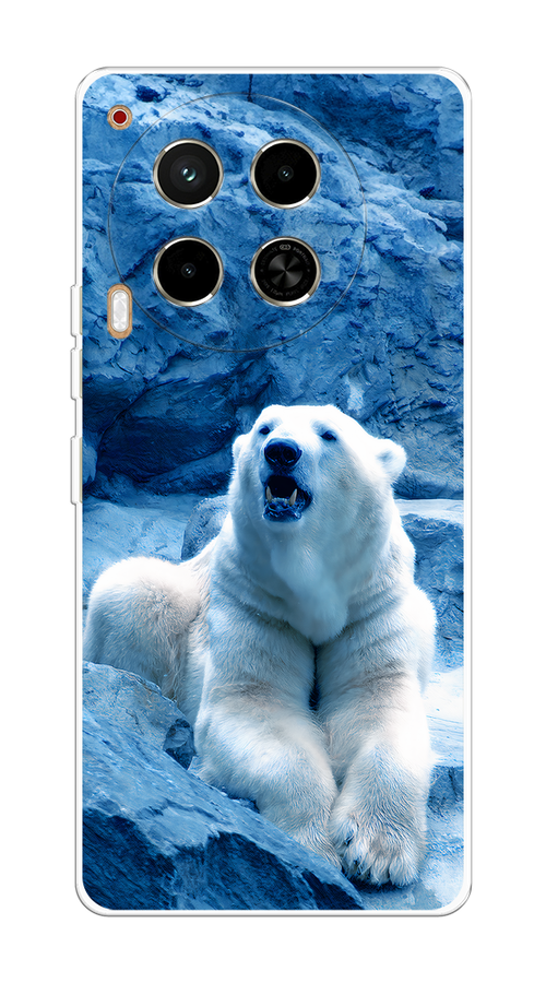 

Чехол на Tecno Camon 30 4G "Белый медведь", Голубой;белый, 305650-1