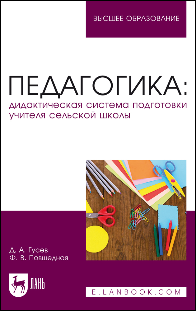 

Педагогика: дидактическая система подготовки учителя сельской школы