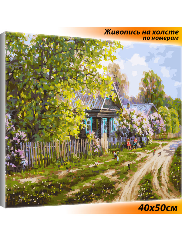 

Картина по номерам Белоснежка Деревенская улица 328-AB 40х50, Деревенская улица